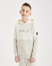 Load image into Gallery viewer, Boy&#39;s Boston Hoodie
